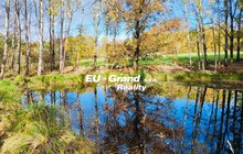 IMG_8336