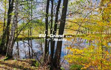 IMG_8340