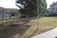 IMG_0350